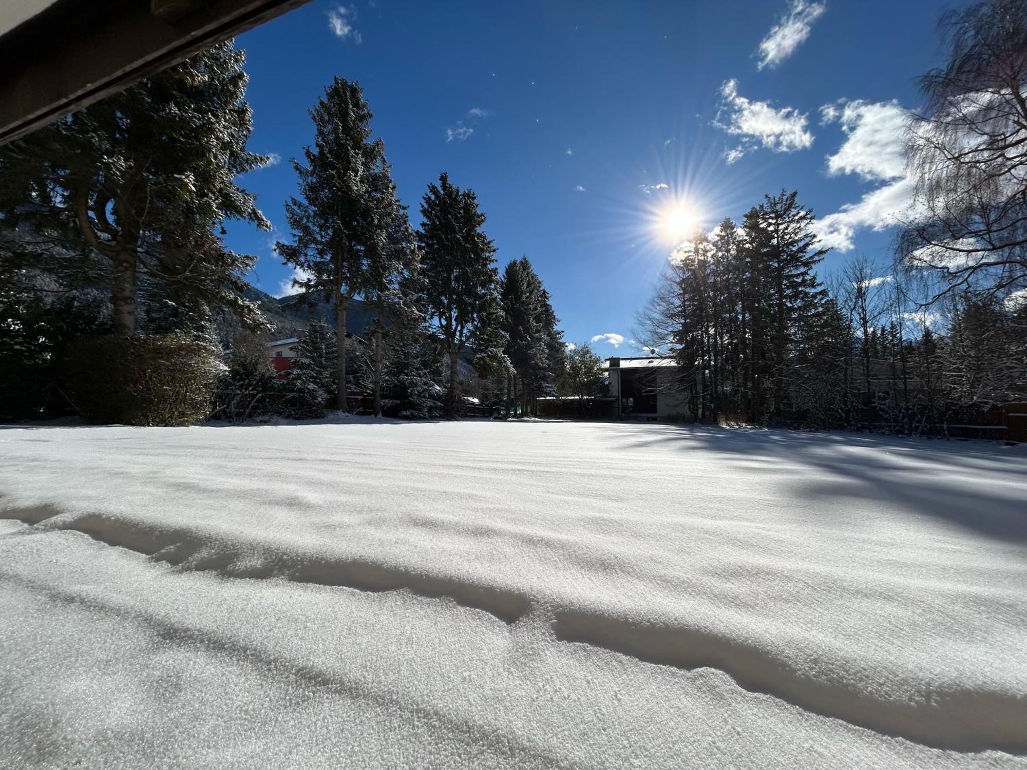 Waldnest - Seefeld *